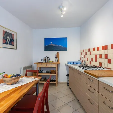 Yellow House Apartment Motovun